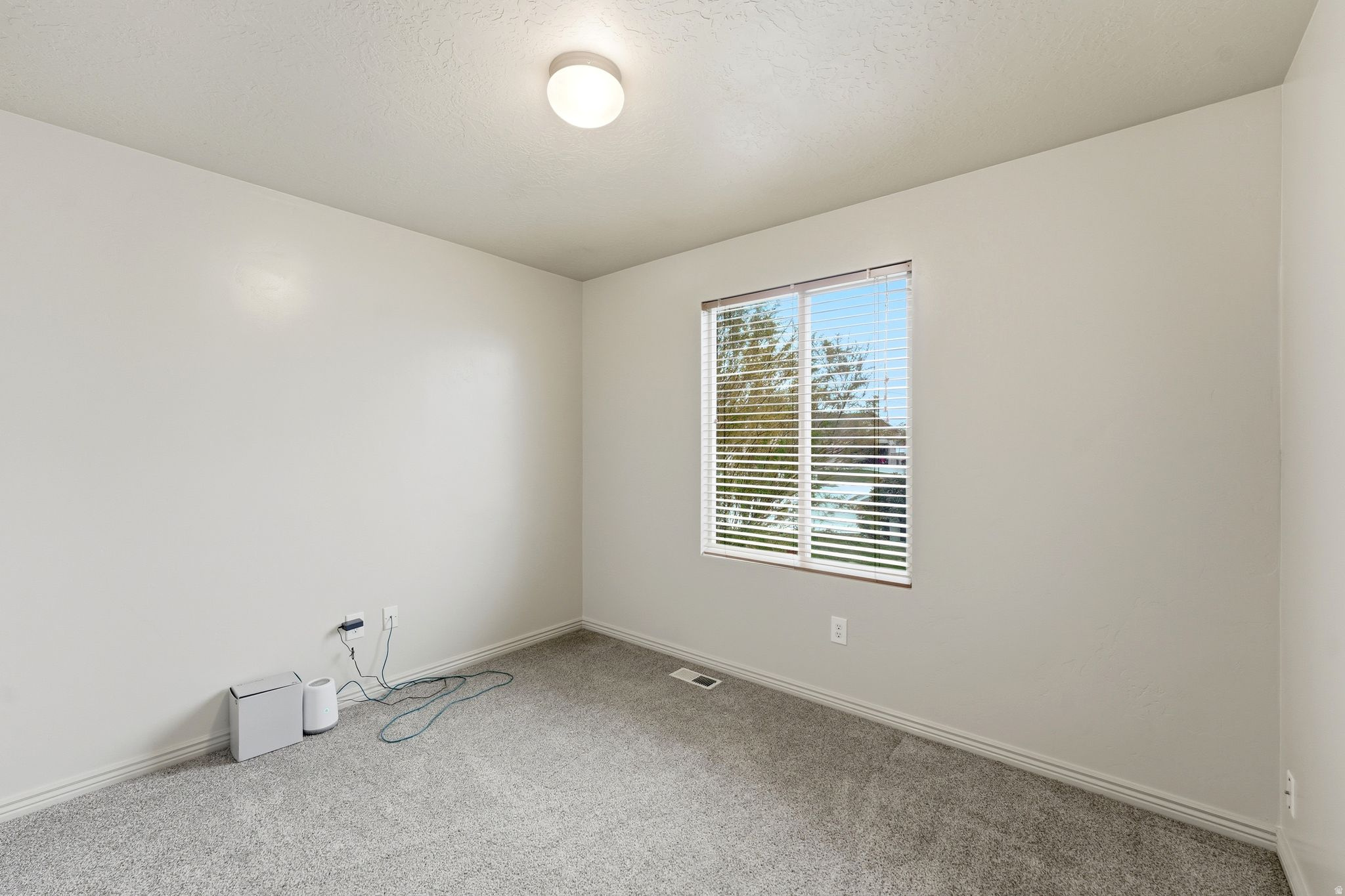 WILD HORSES - Residential