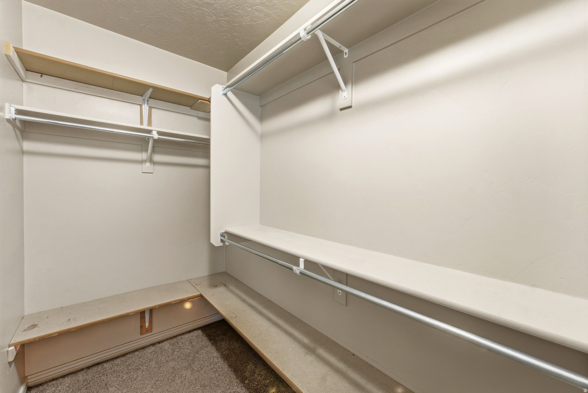 WILD HORSES - Residential