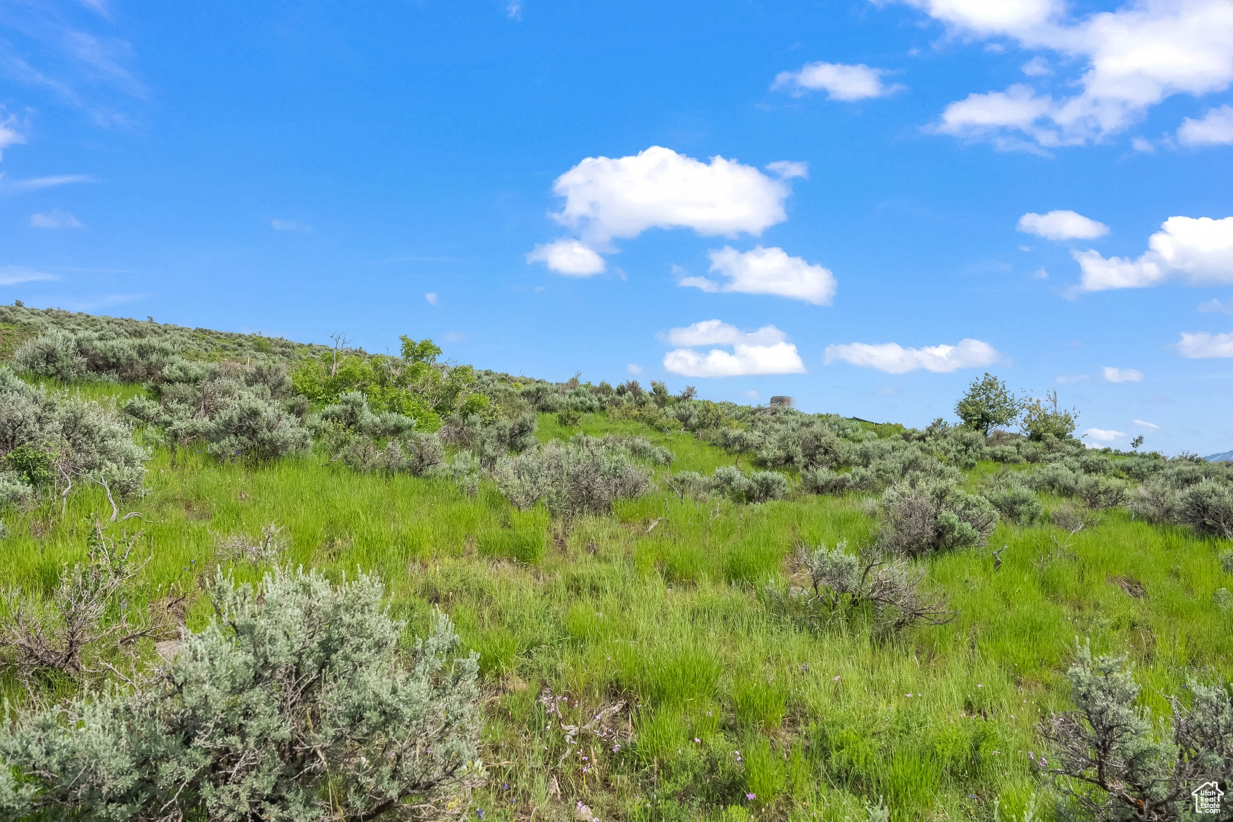 SAGE HILLS ESTATES - Residential