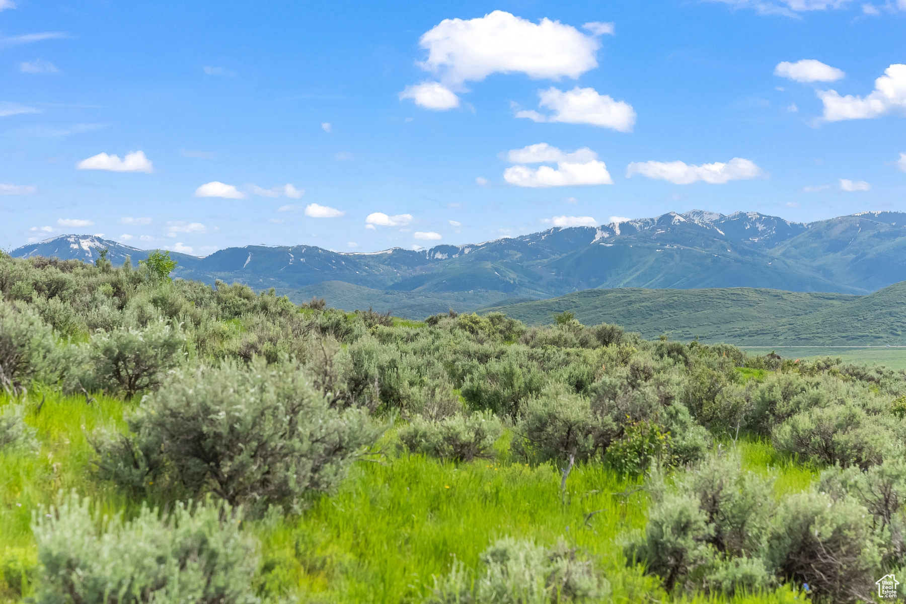 SAGE HILLS ESTATES - Residential