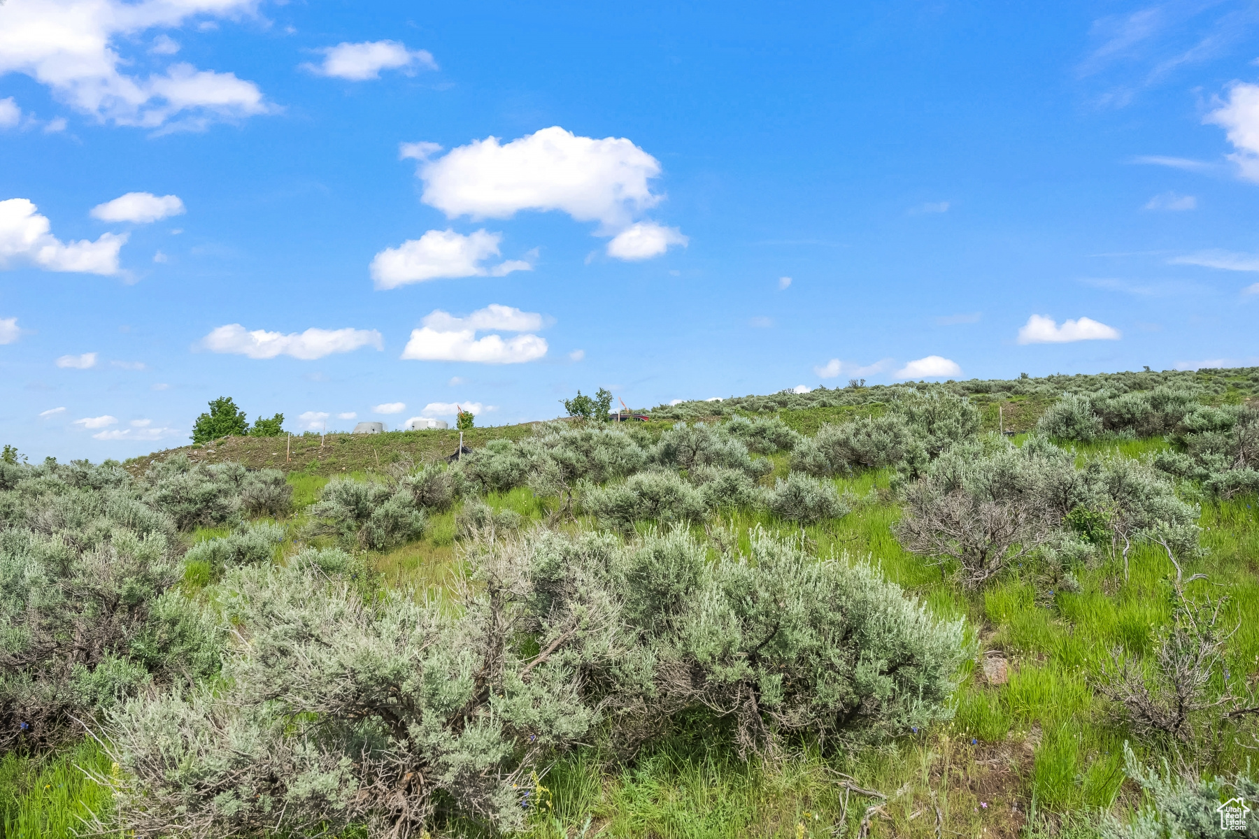 SAGE HILLS ESTATES - Residential