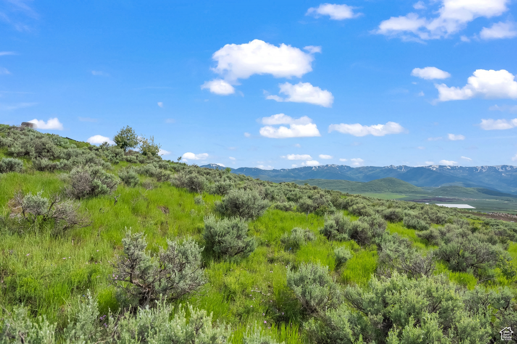 SAGE HILLS ESTATES - Residential