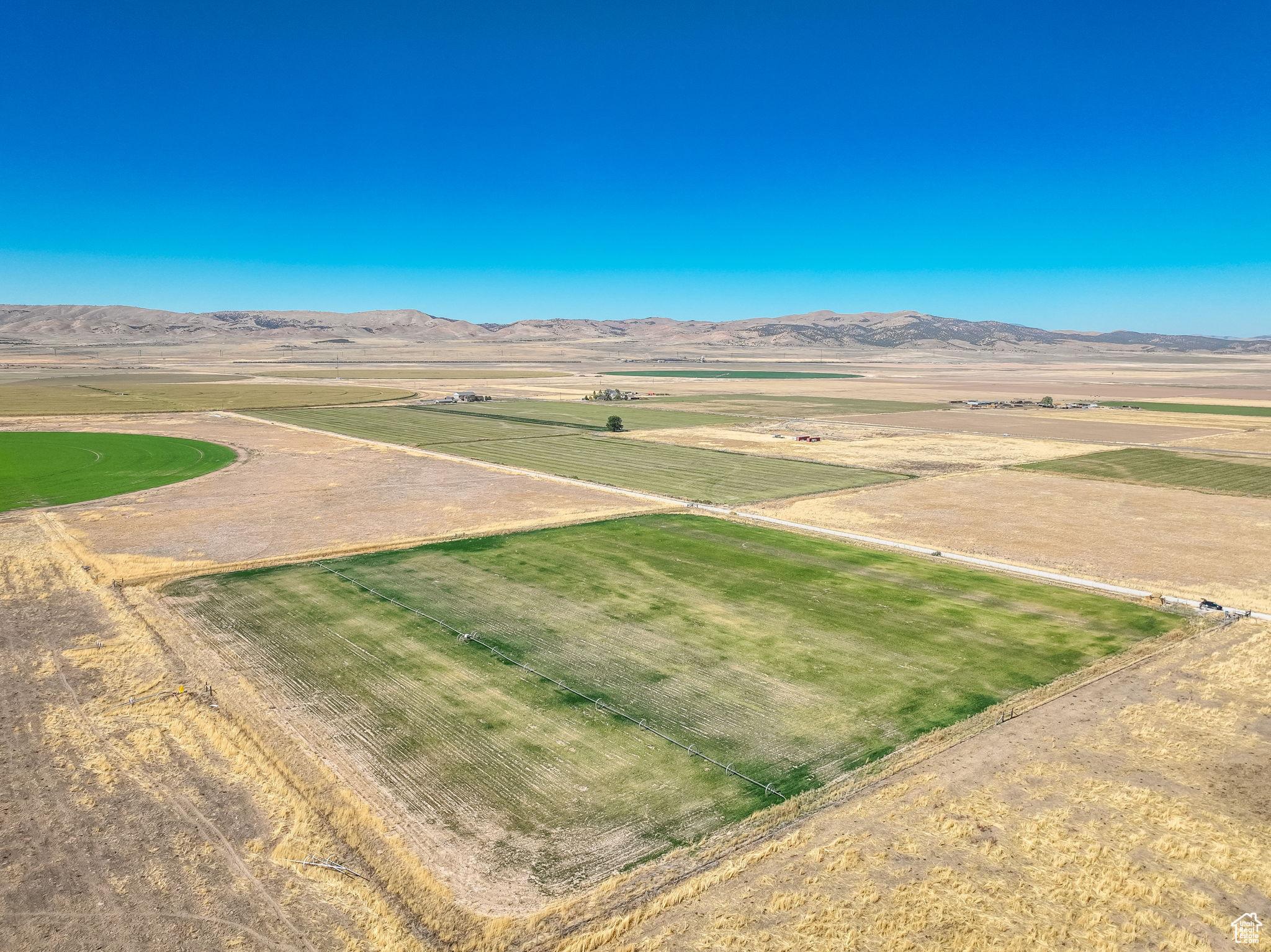 Land, Levan, Utah image 3