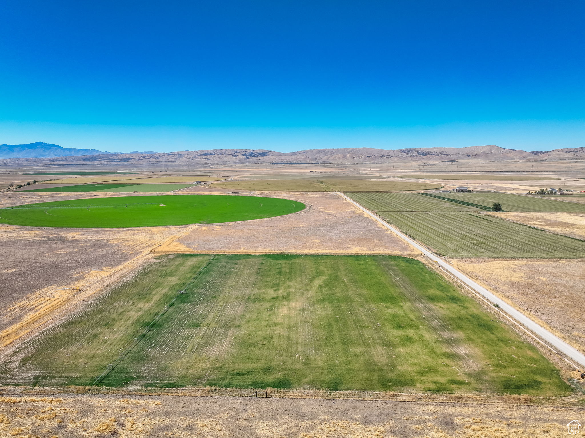 Land, Levan, Utah image 2