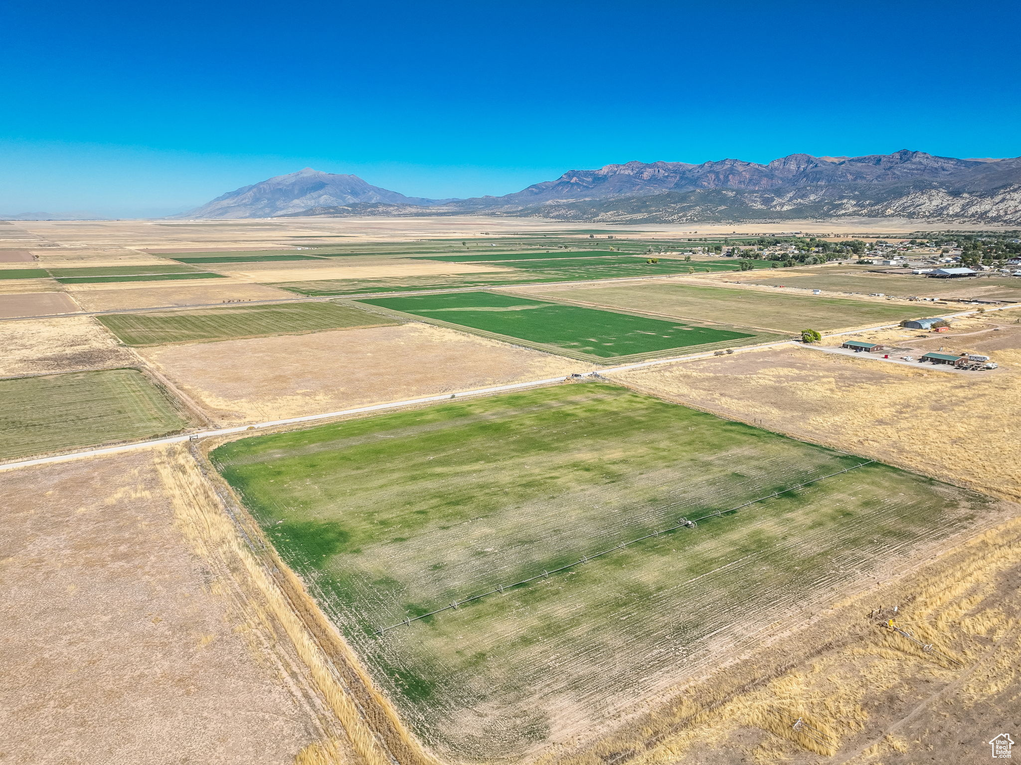 Land, Levan, Utah image 5