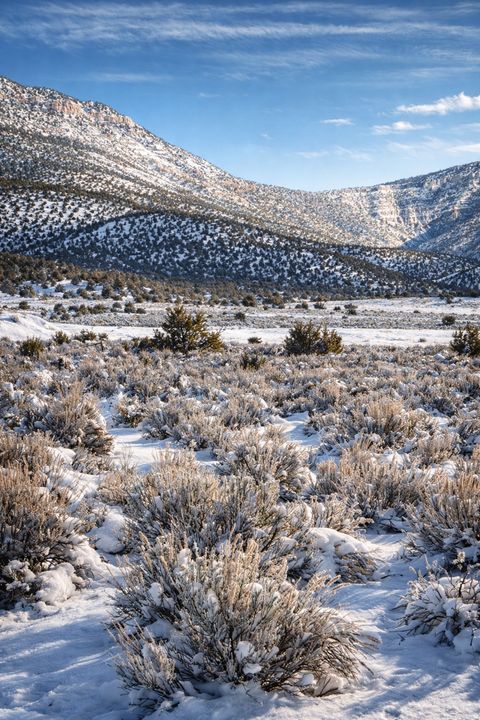 Vacant Land For Sale - Land<br/> Ephraim, UT 84627