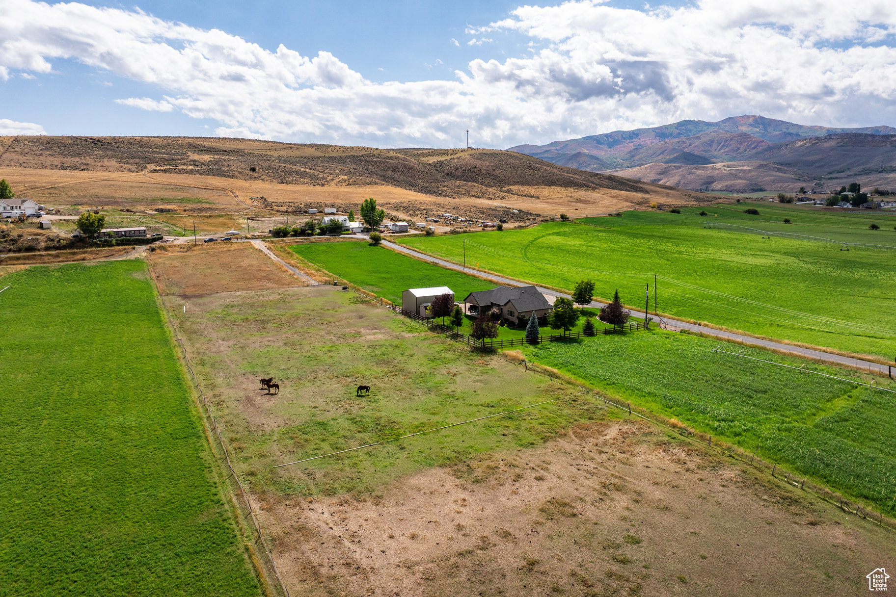 LEWIS PEAK VIEW SUBDIVISION - Land