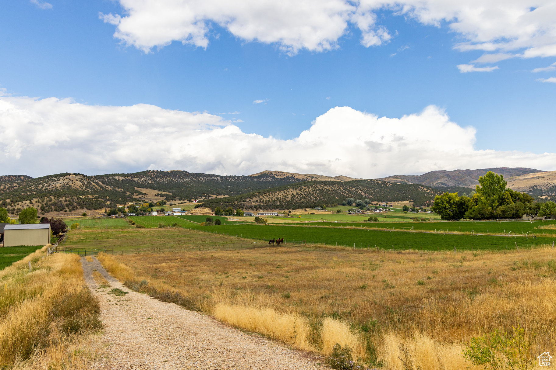 LEWIS PEAK VIEW SUBDIVISION - Land
