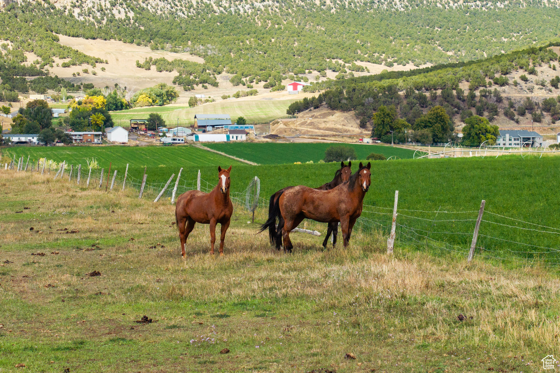 LEWIS PEAK VIEW SUBDIVISION - Land