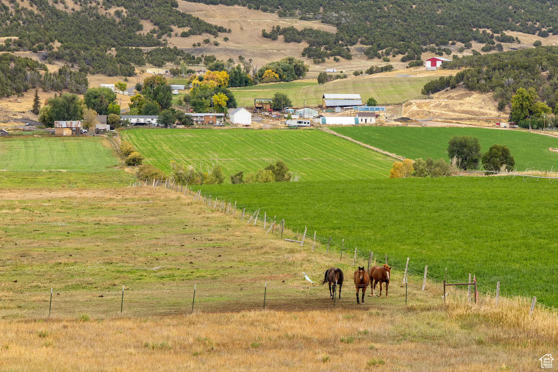 LEWIS PEAK VIEW SUBDIVISION - Land