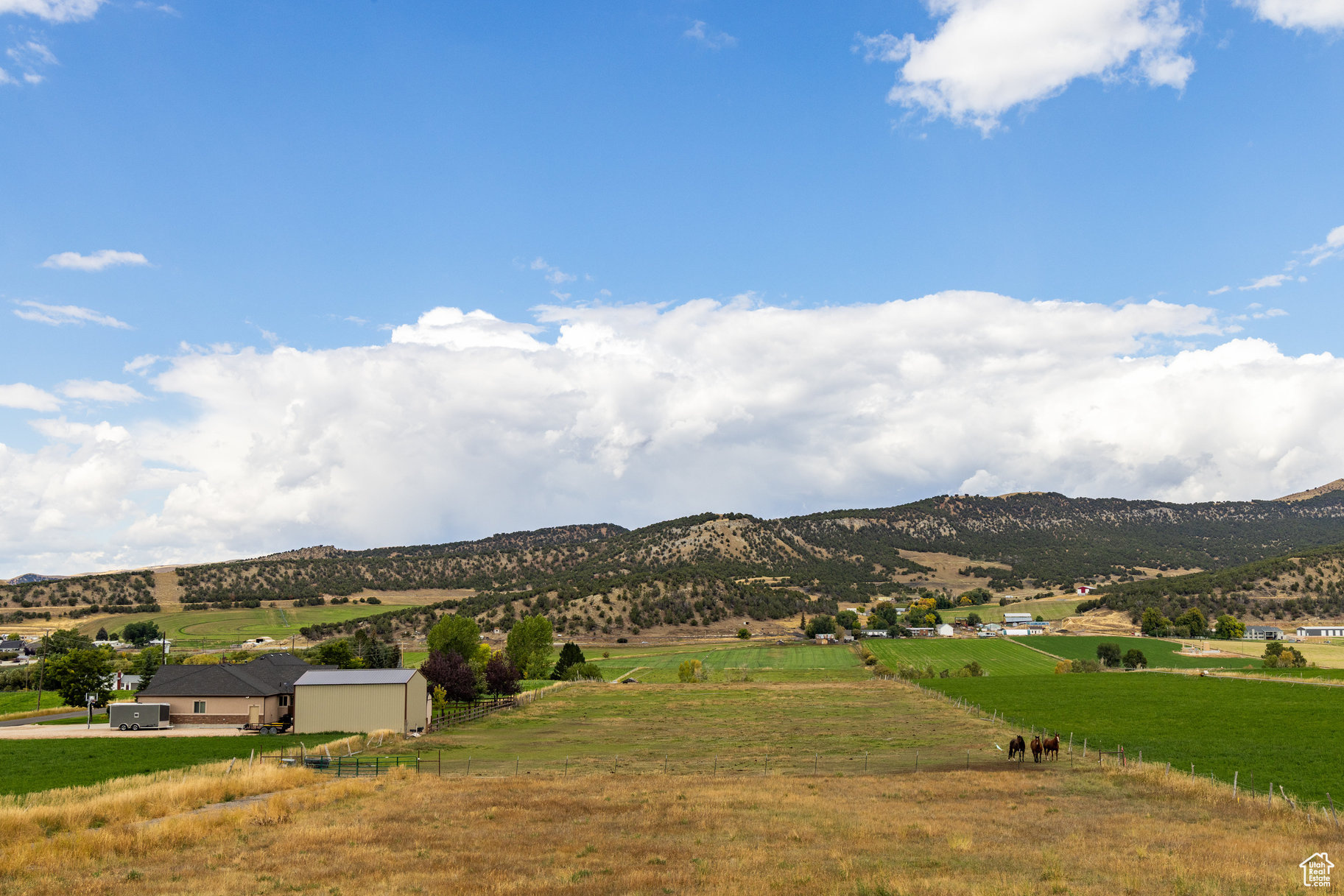 LEWIS PEAK VIEW SUBDIVISION - Land
