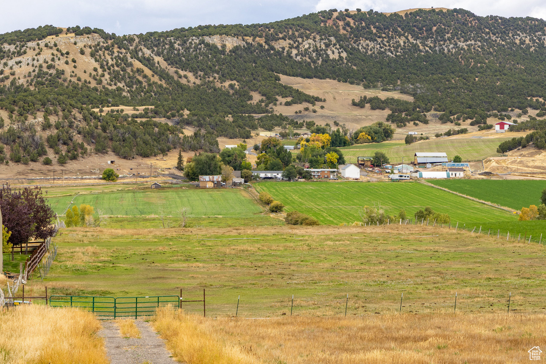 LEWIS PEAK VIEW SUBDIVISION - Land