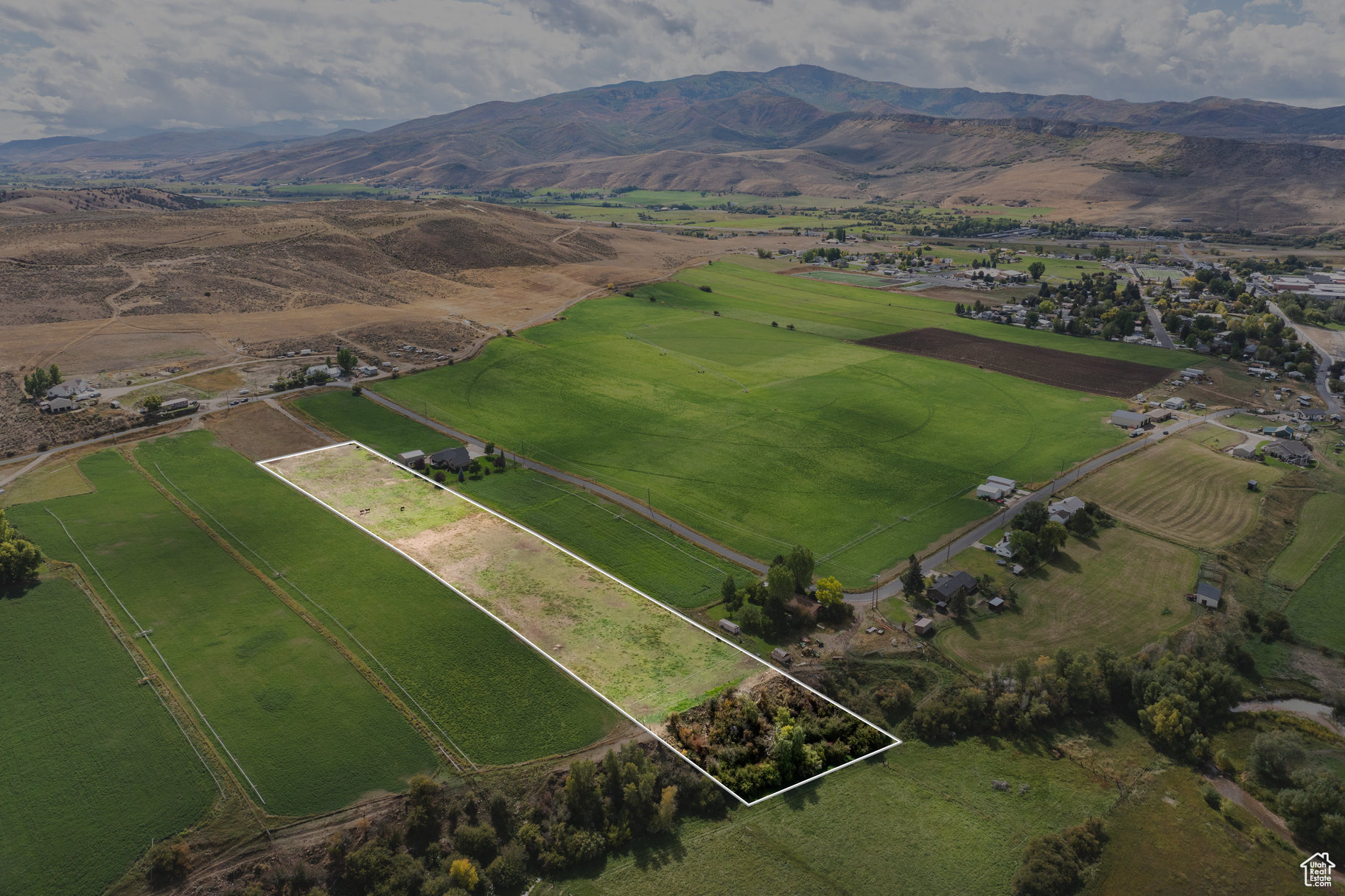 LEWIS PEAK VIEW SUBDIVISION - Land