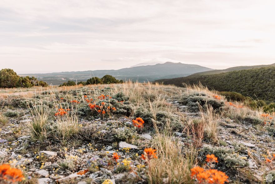 Your own oasis! Almost 72 acres on Taylor Mountain. County road access. Additional property available from same seller-MLS #2083736 is 239.92 acres with water rights and MLS #2083741 is 294.54 acres with water rights.