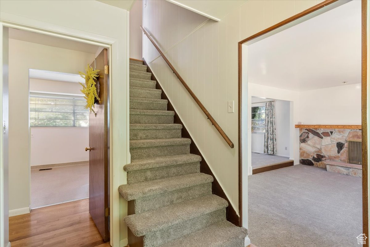 TAMARA ESTATES - Residential