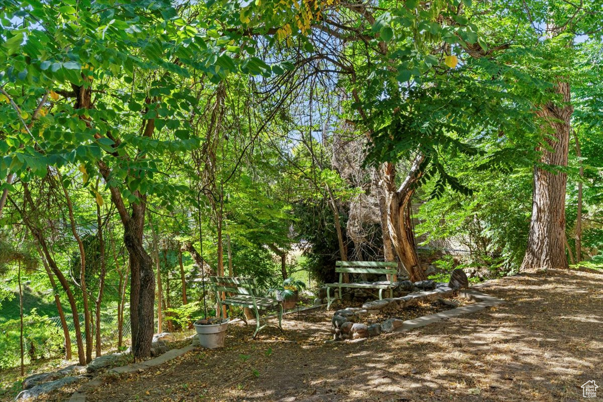 TAMARA ESTATES - Residential