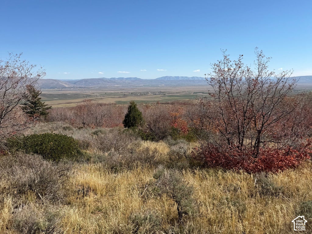 Photo of MILES CANYON RD. #11, Montpelier, ID 83254 (MLS # 2190980)
