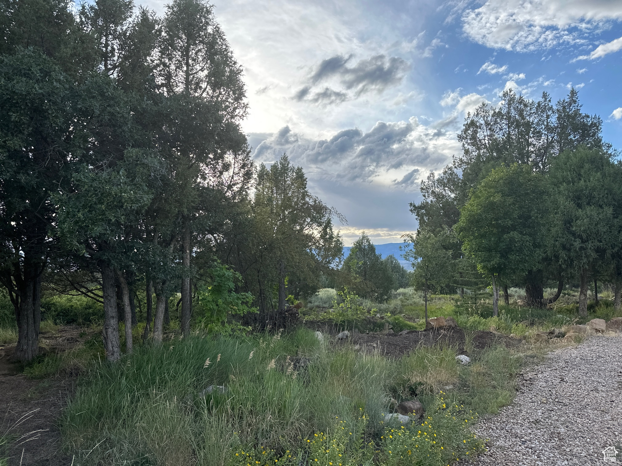14775 N 12565 #6667, Mt Pleasant, Utah image 45