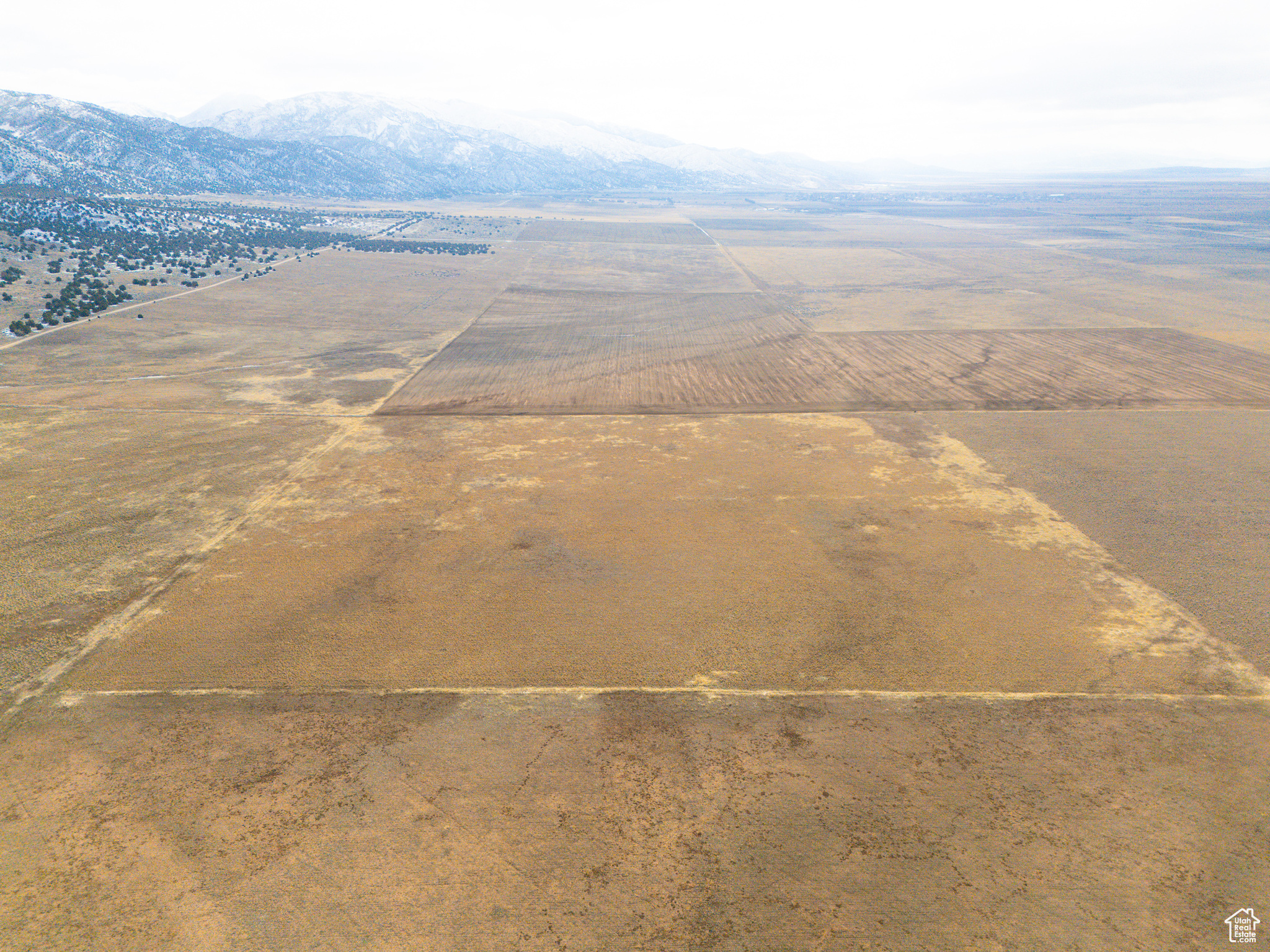 Land, Levan, Utah image 5