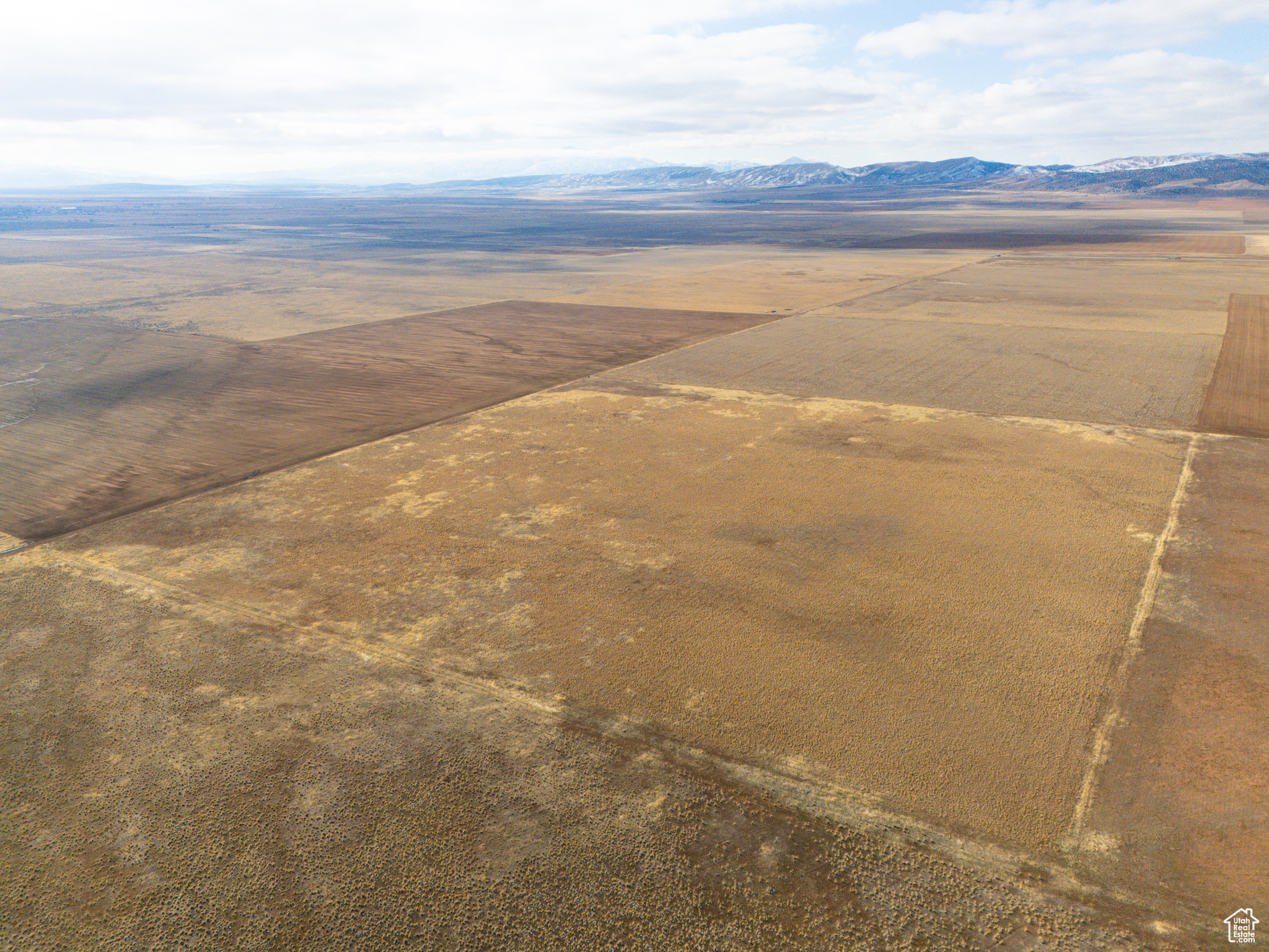 Land, Levan, Utah image 2