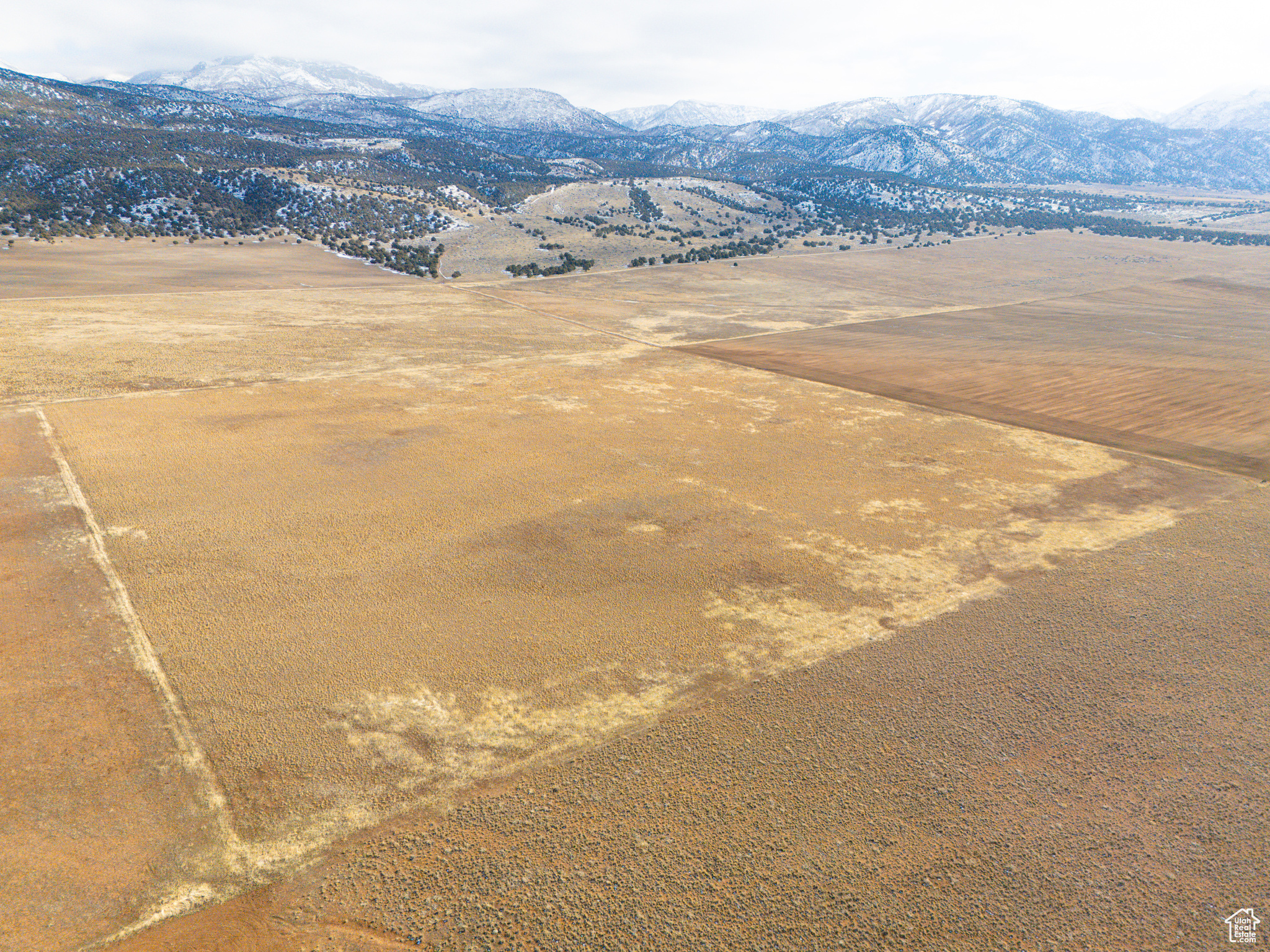 Land, Levan, Utah image 4