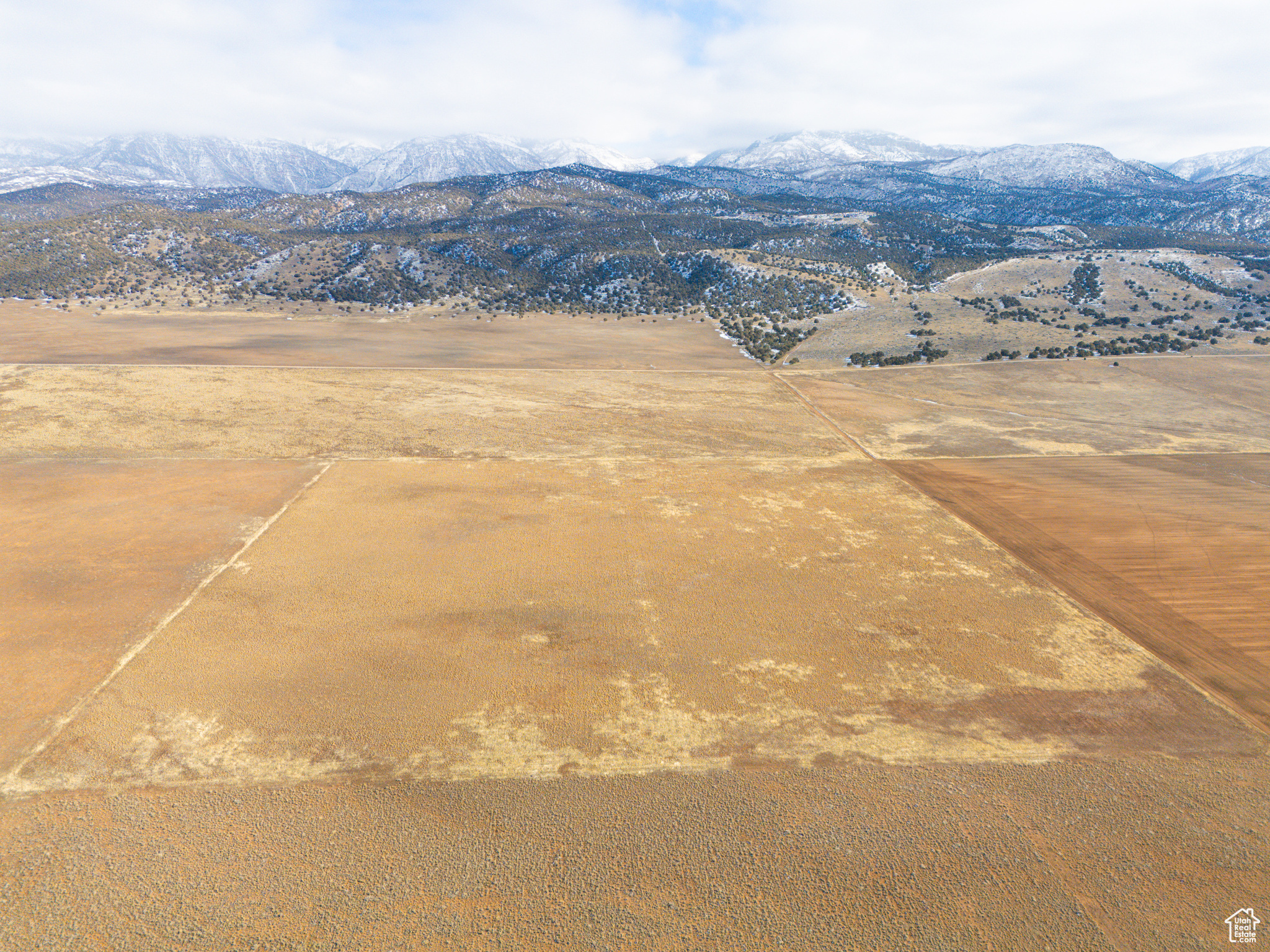Land, Levan, Utah image 3