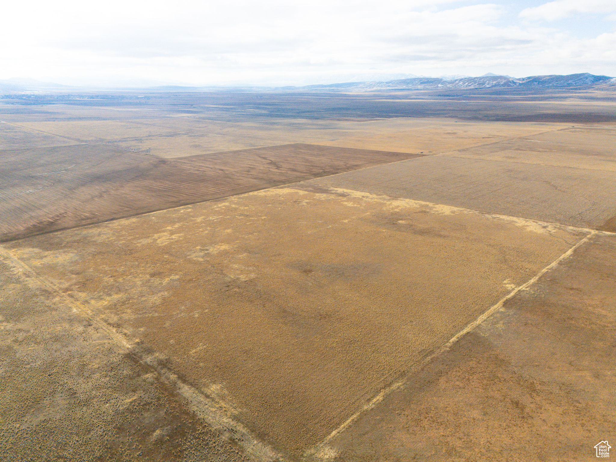 Land, Levan, Utah image 6