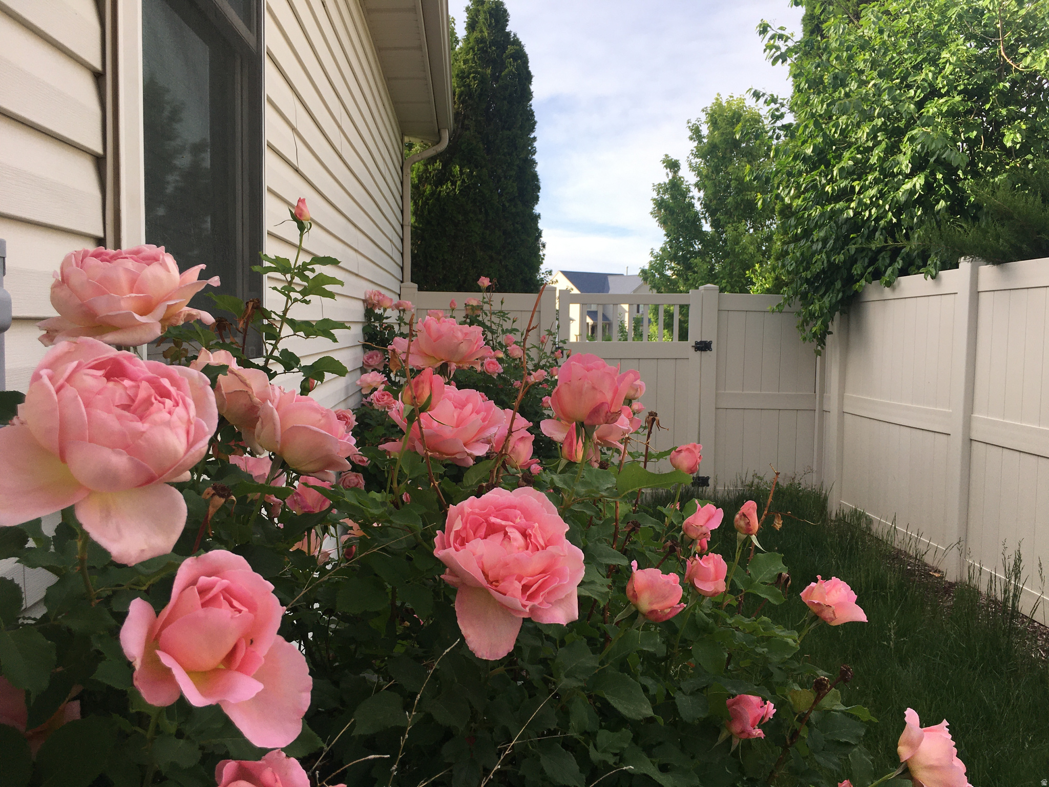 COPPER CANYON - Residential