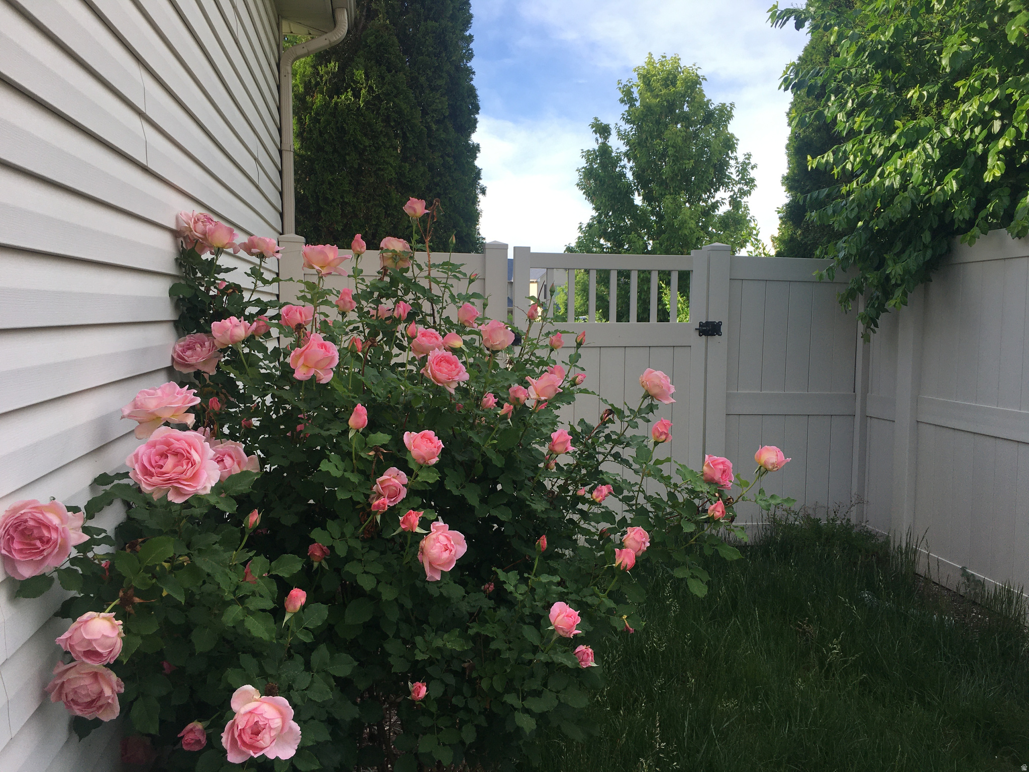 COPPER CANYON - Residential