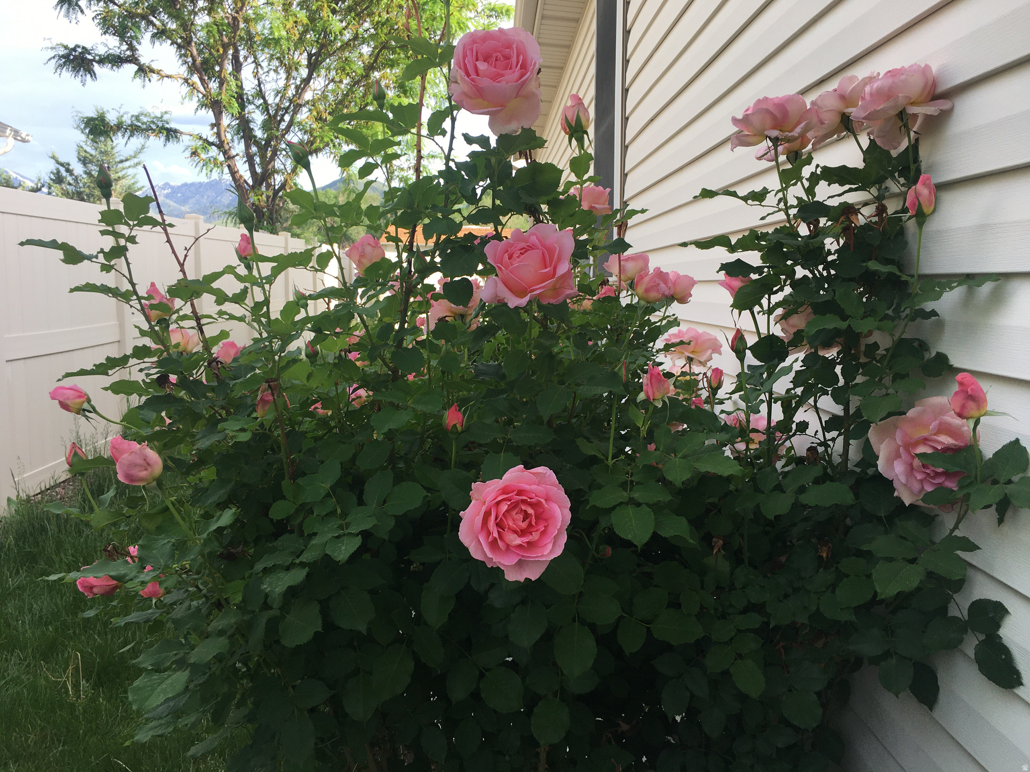 COPPER CANYON - Residential