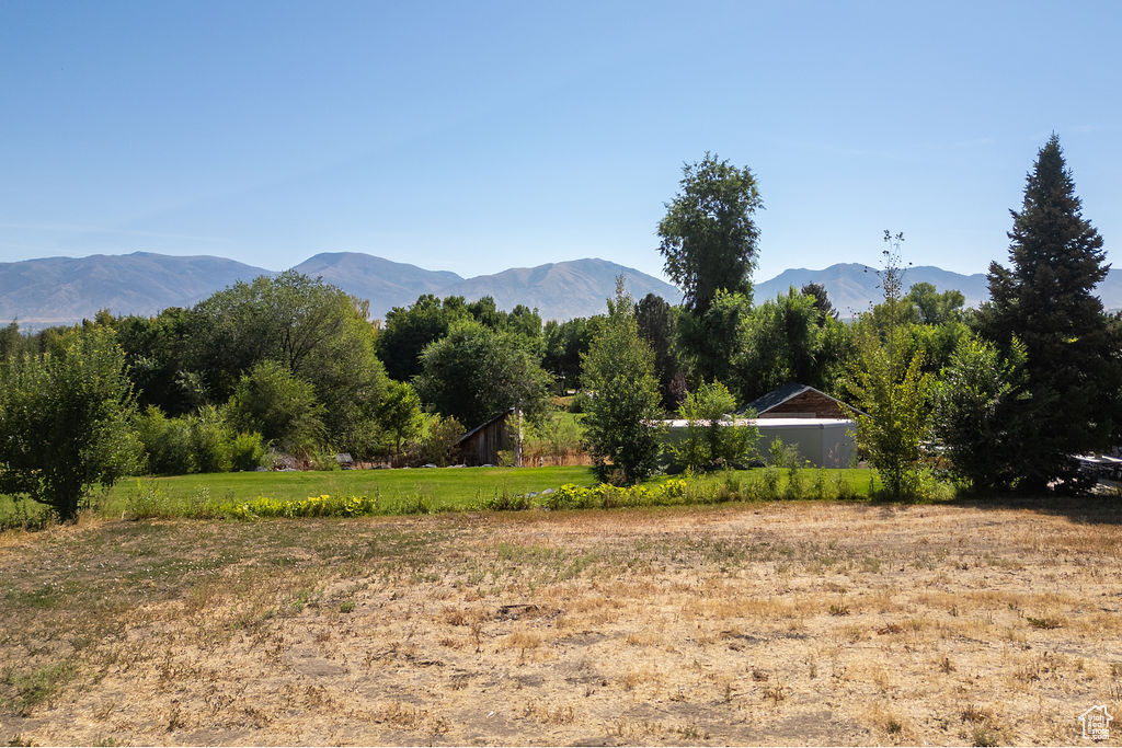 WILD PLUM SUBDIVISIO - Land