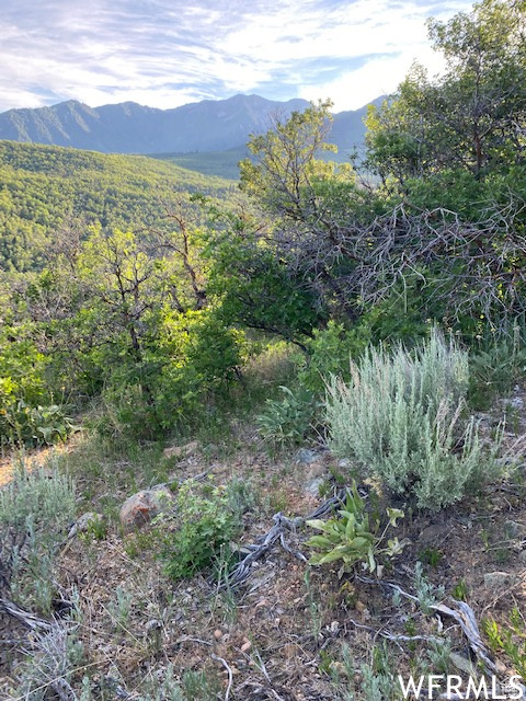 UPPER WHITTEMORE - Land