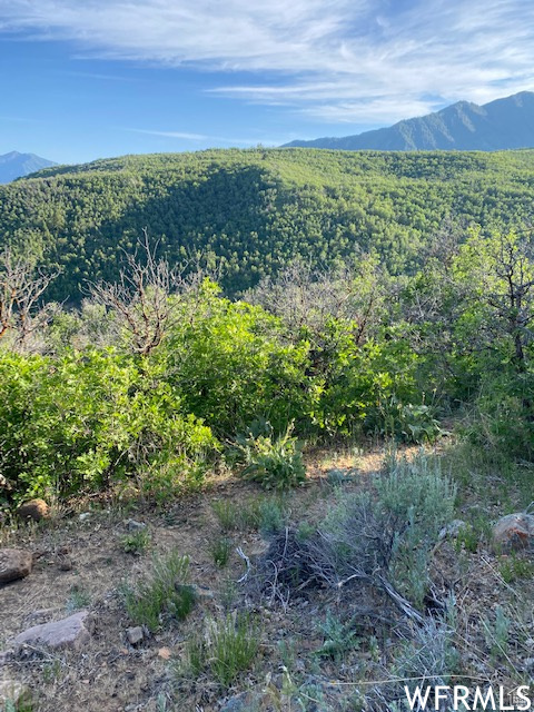 UPPER WHITTEMORE - Land