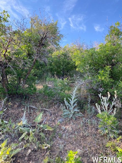 Tiny photo for 11 E SPRING MOUNTAIN DR #11, Springville, UT 84663 (MLS # 2097086)