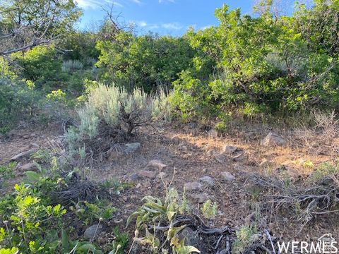 Tiny photo for 11 E SPRING MOUNTAIN DR #11, Springville, UT 84663 (MLS # 2097086)