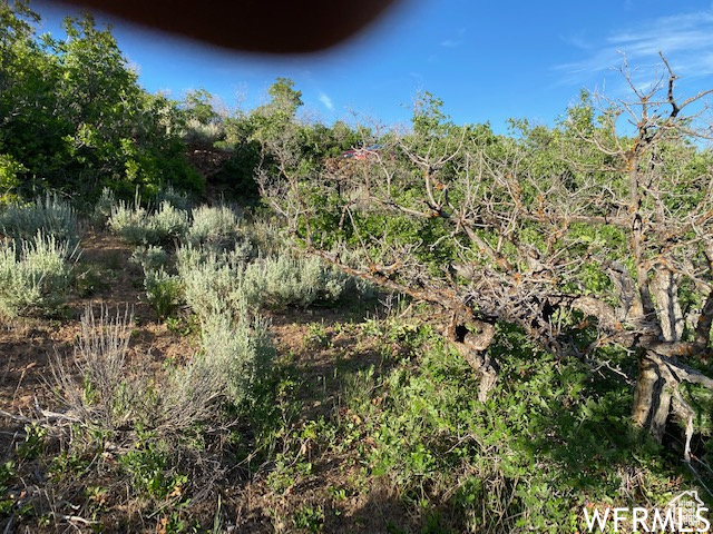UPPER WHITTEMORE - Land