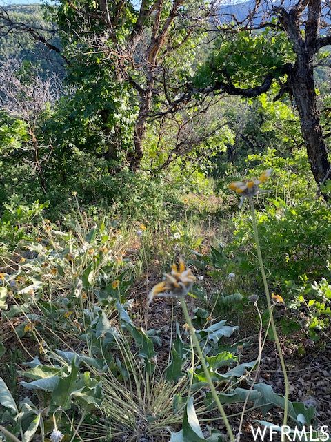Tiny photo for 11 E SPRING MOUNTAIN DR #11, Springville, UT 84663 (MLS # 2097086)