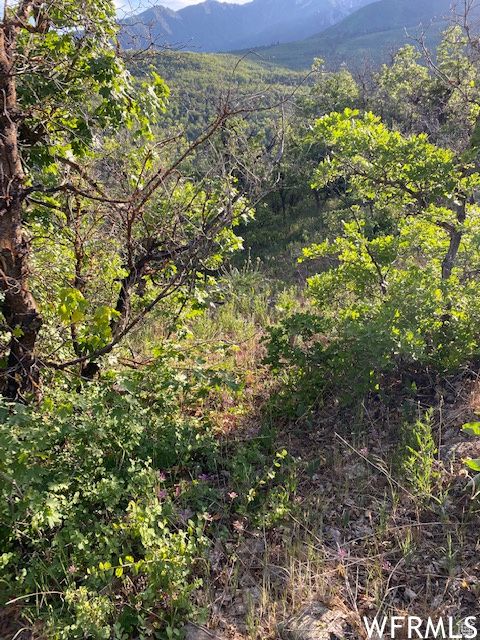 Tiny photo for 11 E SPRING MOUNTAIN DR #11, Springville, UT 84663 (MLS # 2097086)