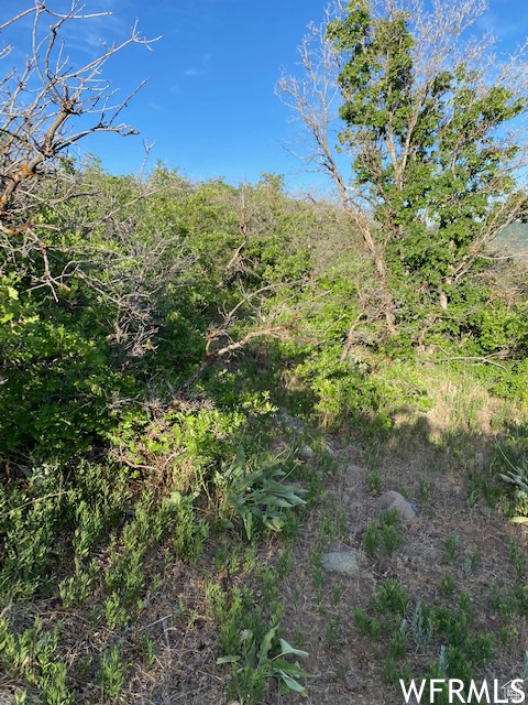 UPPER WHITTEMORE - Land