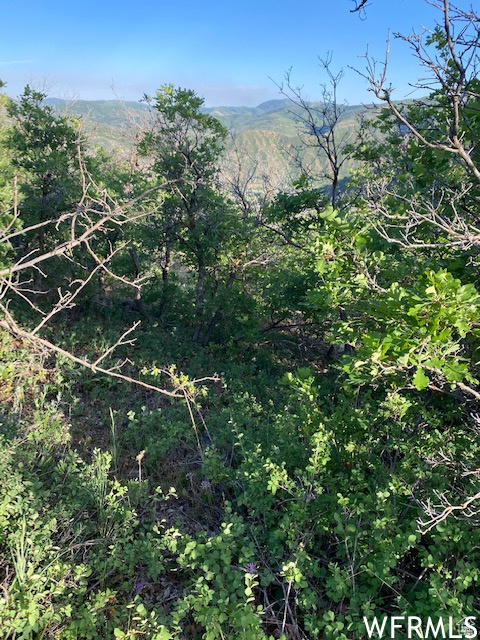 UPPER WHITTEMORE - Land