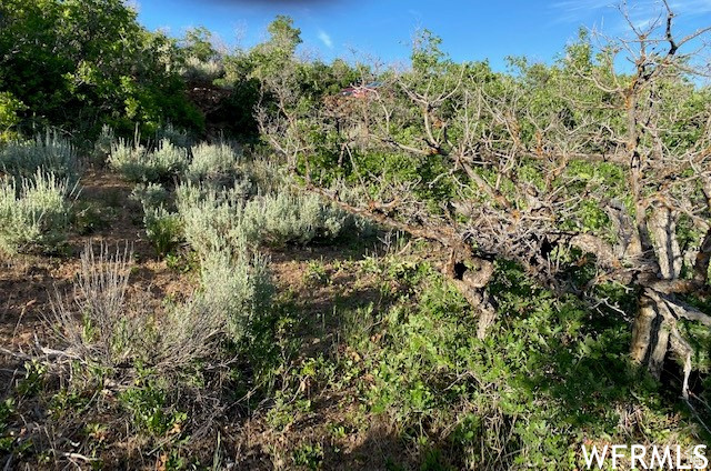 UPPER WHITTEMORE - Land