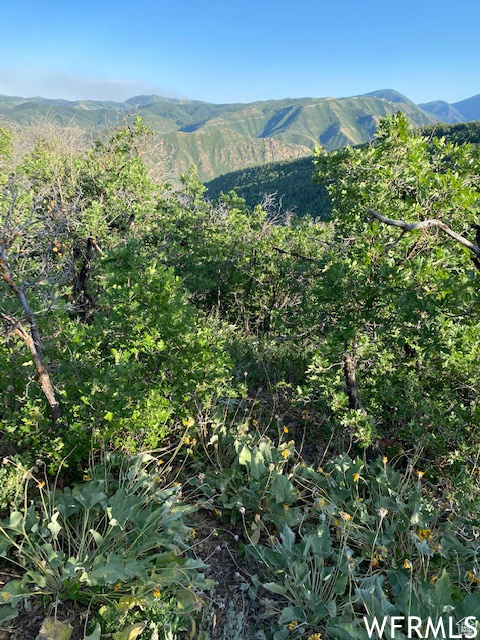 UPPER WHITTEMORE - Land