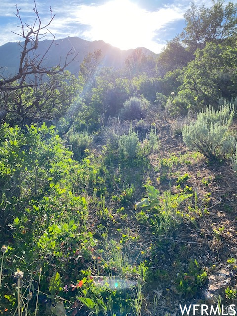 UPPER WHITTEMORE - Land