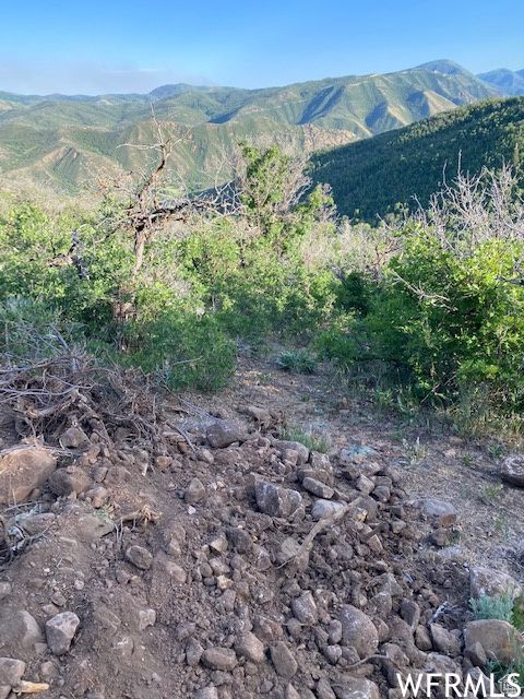 Tiny photo for 11 E SPRING MOUNTAIN DR #11, Springville, UT 84663 (MLS # 2097086)