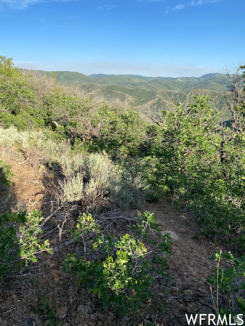 UPPER WHITTEMORE - Land