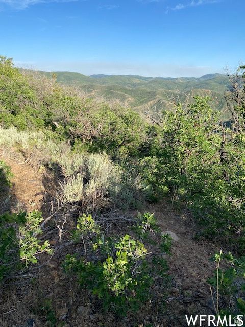 Tiny photo for 11 E SPRING MOUNTAIN DR #11, Springville, UT 84663 (MLS # 2097086)