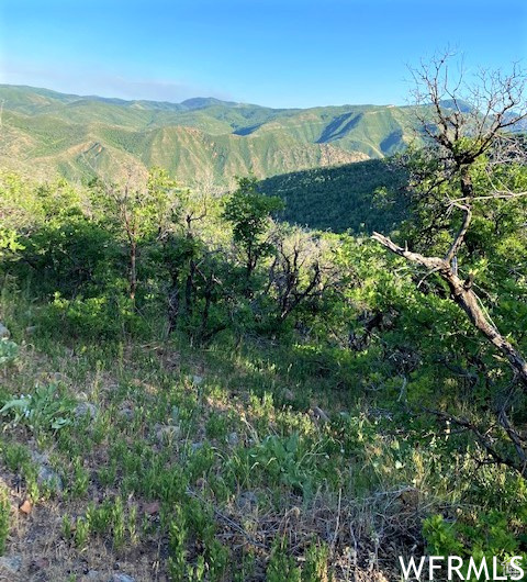 UPPER WHITTEMORE - Land