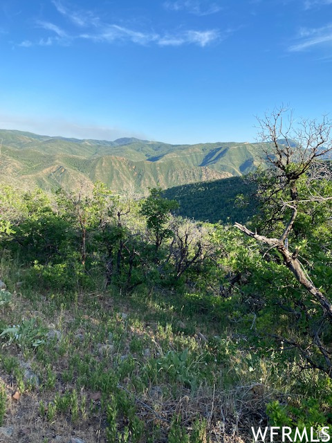 UPPER WHITTEMORE - Land