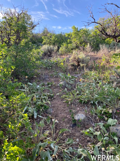UPPER WHITTEMORE - Land