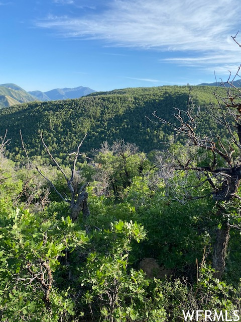 UPPER WHITTEMORE - Land
